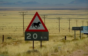215 Namibia Okt 2006 .JPG